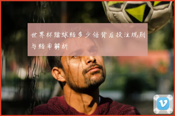 世界杯赌球赔多少倍背后投注规则与赔率解析